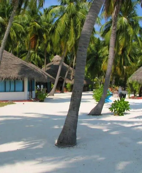 Bangaram Island Resort tour packages