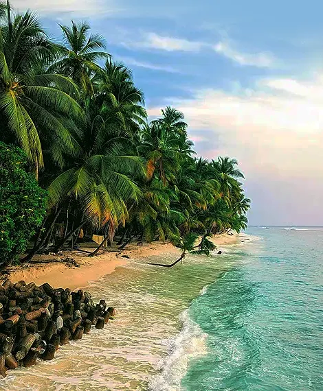 lakshadweep tour packages from mumbai